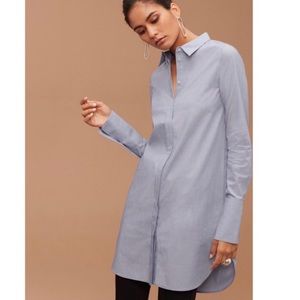 Aritzia | Babaton Button Up Dress